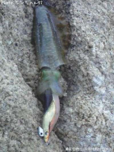 �����ꥤ��