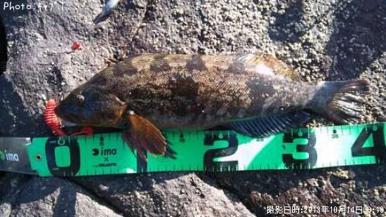 �����ʥ�