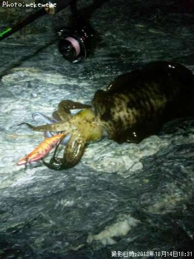 �����ꥤ��