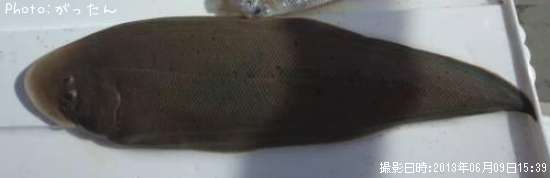 �����Υ���