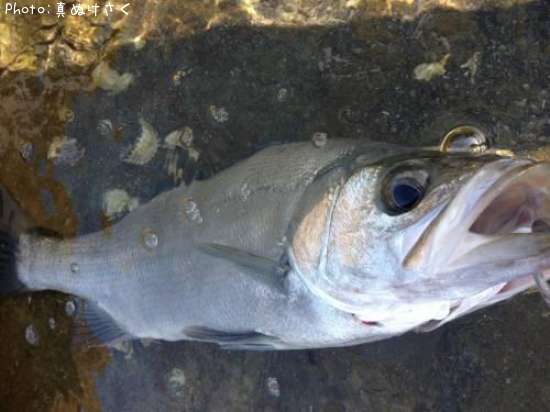 �ҥ饹����