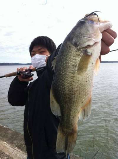 �֥�å��Х�