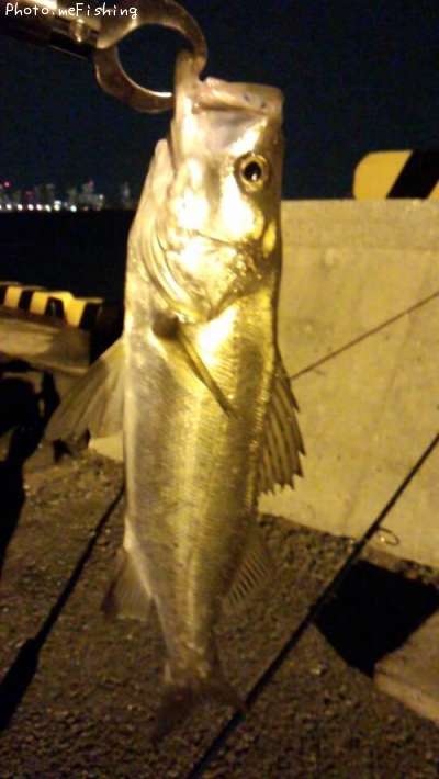 �����Х�