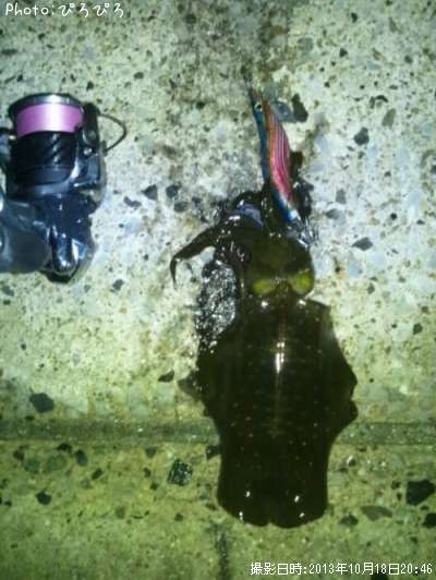 �����ꥤ��