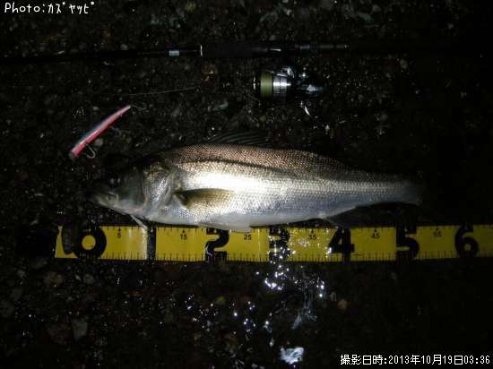 �����Х�