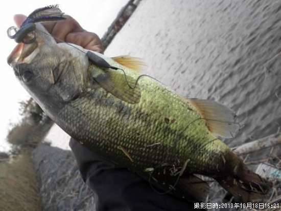 �֥�å��Х�