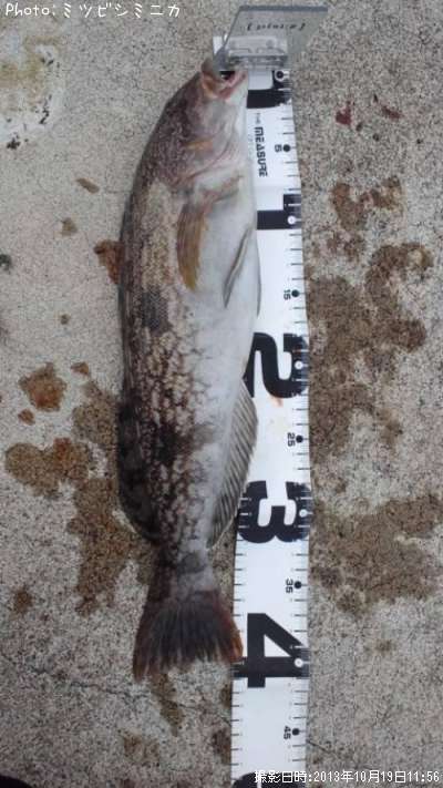 �����ʥ�