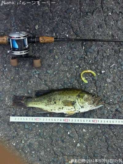 �֥�å��Х�