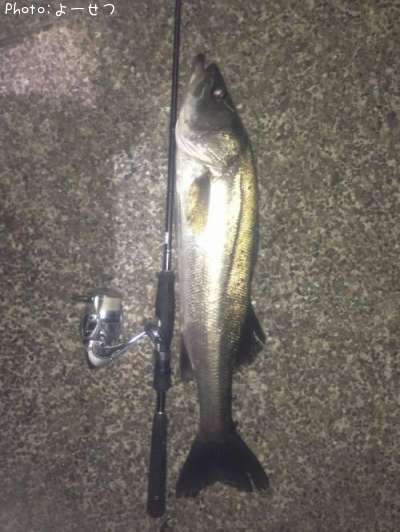 �����Х�