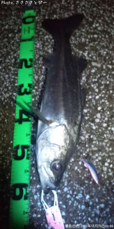 �����Х�