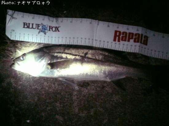 �����Х�