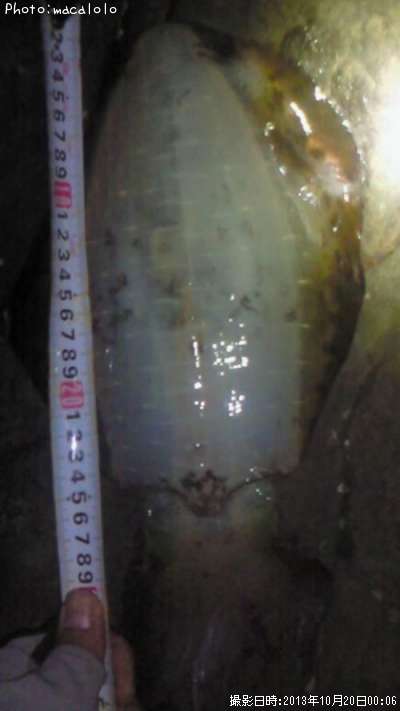 �����ꥤ��