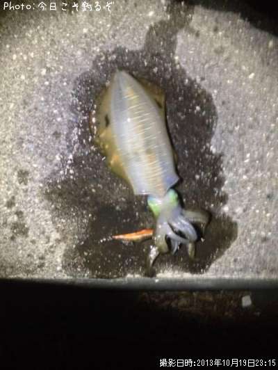 �����ꥤ��