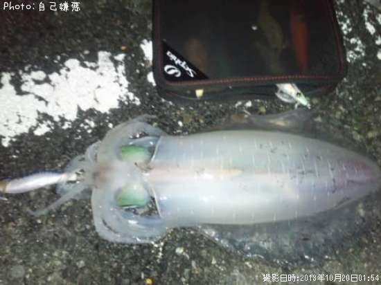 �����ꥤ��