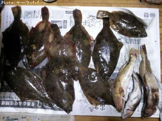 ���줤�������ʤ�