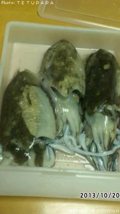 ���ߥ���