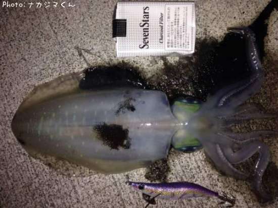 �����ꥤ��