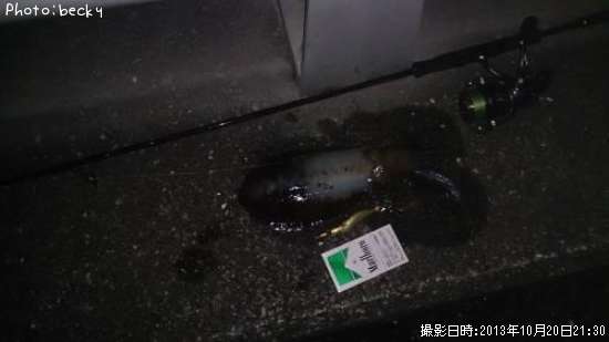 �����ꥤ��