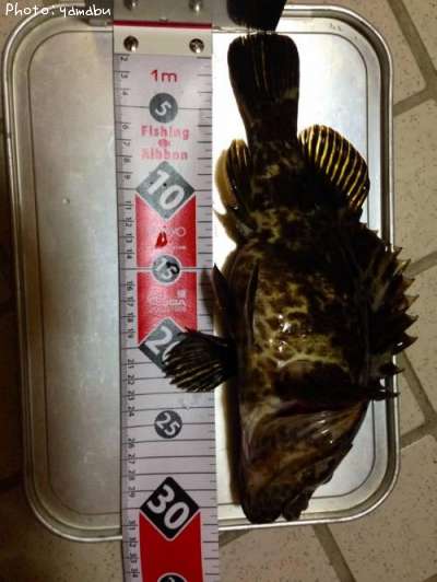 �����Υ���Х�