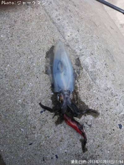 �����ꥤ��