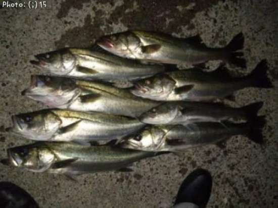 �����Ф�