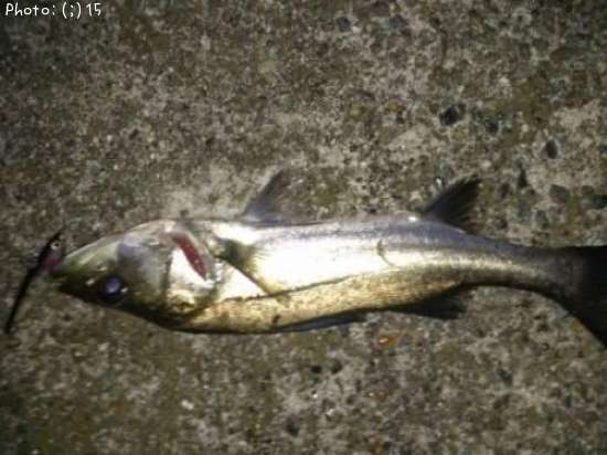 �����Ф�