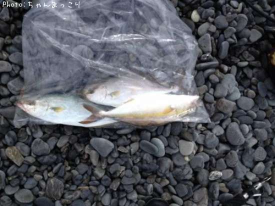 ���祴������