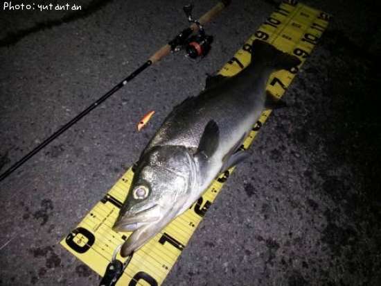 �ҥ饹����