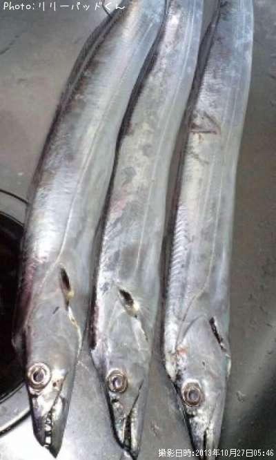 ���å�����