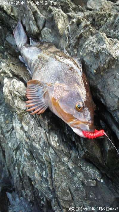 �����ʥ�