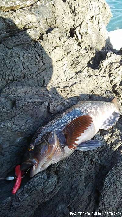 �����ʥ�