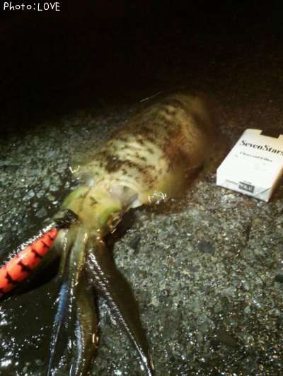 �����ꥤ��