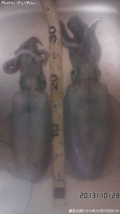 �����ꥤ��