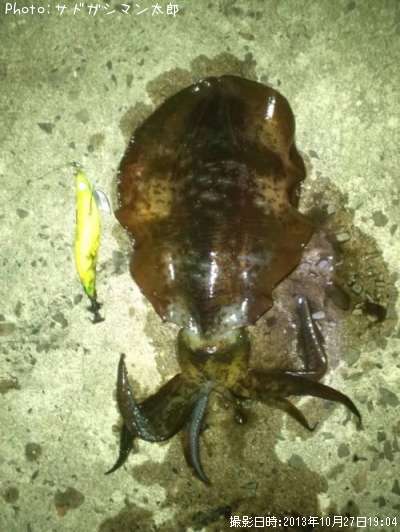 �����ꥤ��