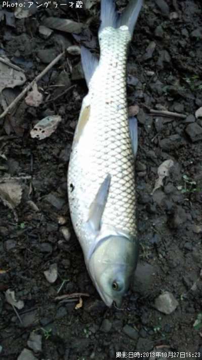 �ޥ륿����