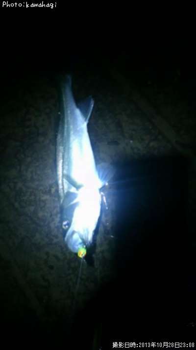 �����Х�