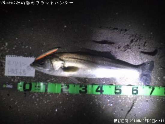 �����Х�