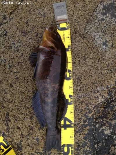 �����ʥ�