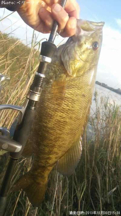 ���⡼��ޥ����Х�