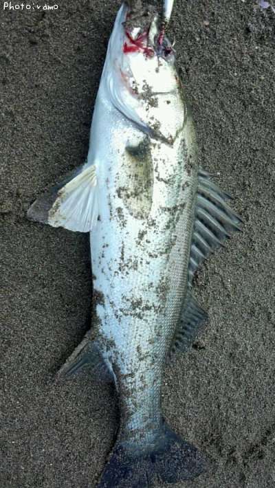 �����Х�