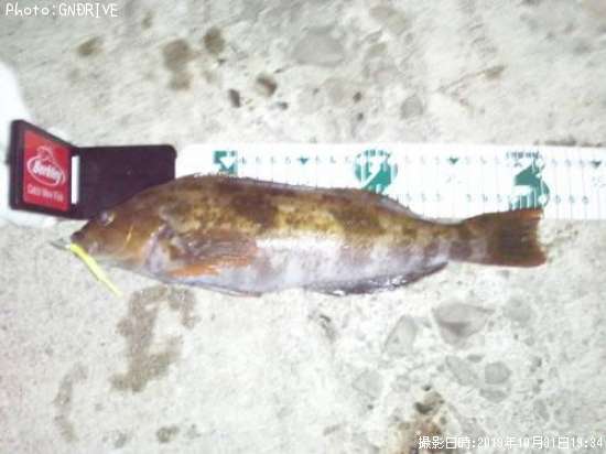 �����ʥ�