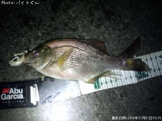 ���ߥ��ʥ�