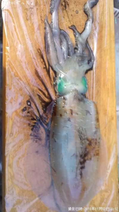 �����ꥤ��