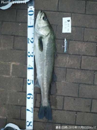 �����Х�