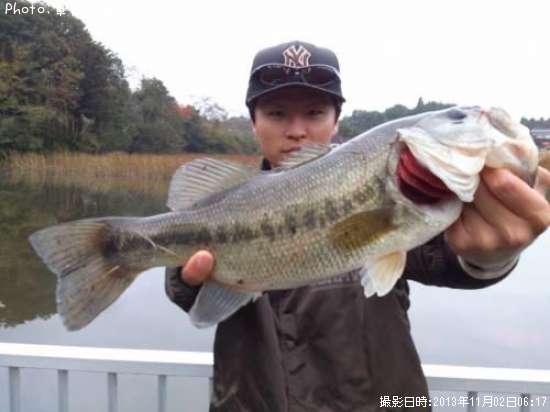 �֥�å��Х�