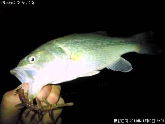 �֥�å��Х�