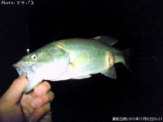 �֥�å��Х�