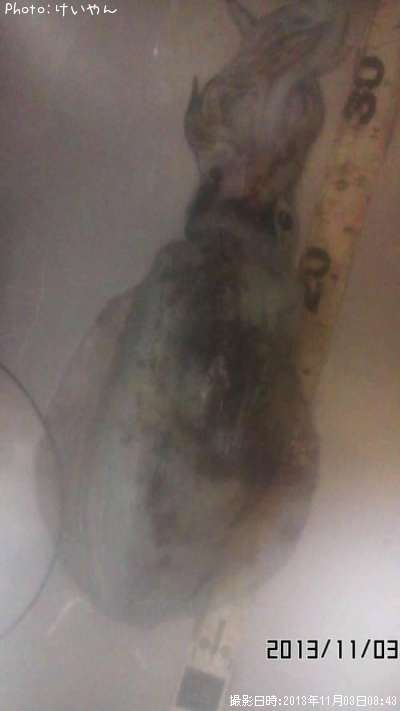 �����ꥤ��