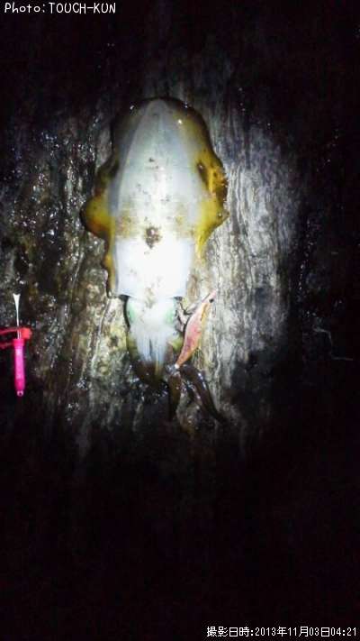 �����ꥤ��