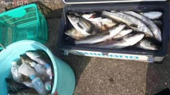 �����Ф�